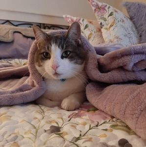 Meet your Posher, Sue